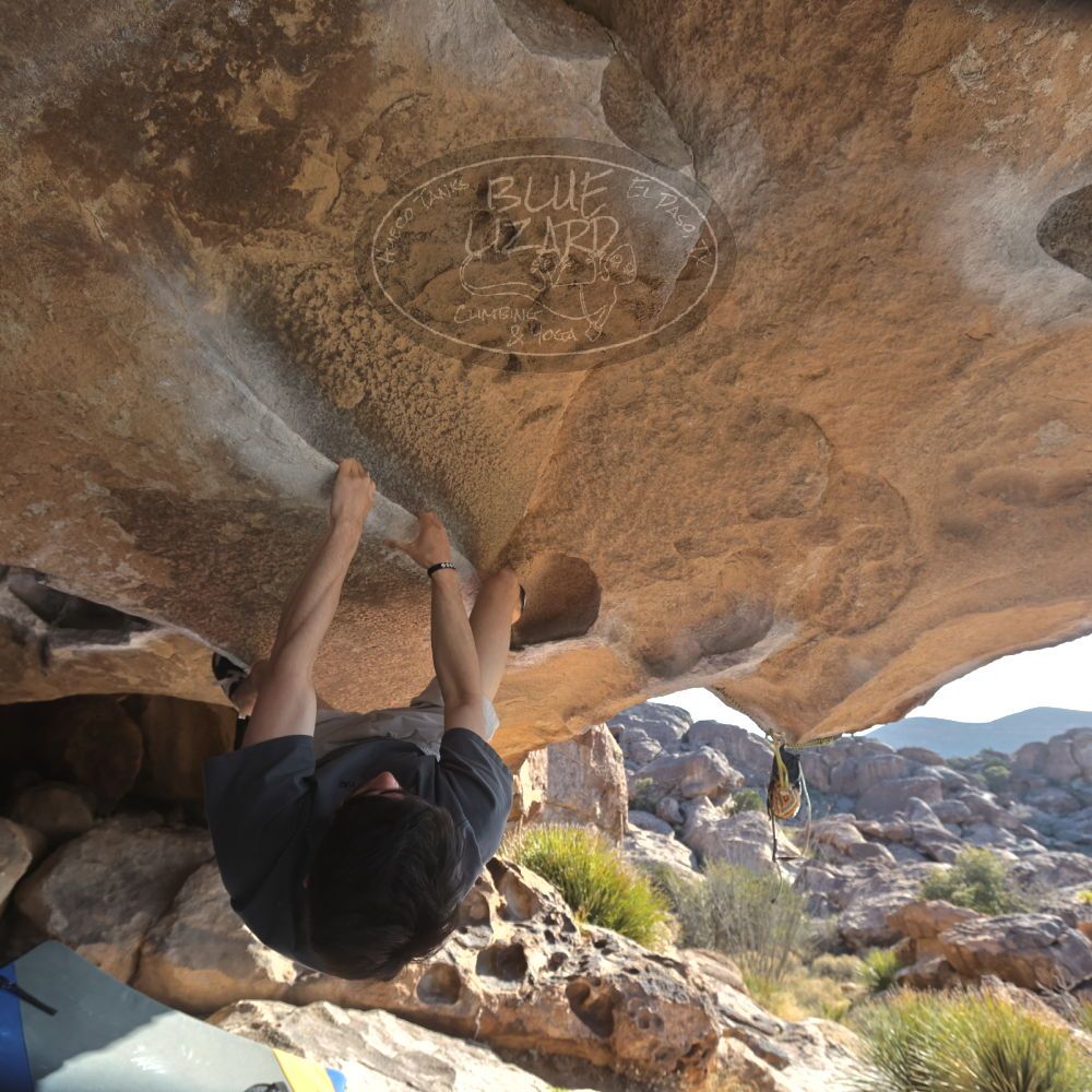 

Filename: SRM_20260308_0847010.jpg
Aperture: f/5.6
Shutter Speed: 1/500
Body: Canon EOS R6
Lens: Canon EF 16-35mm f/2.8 L