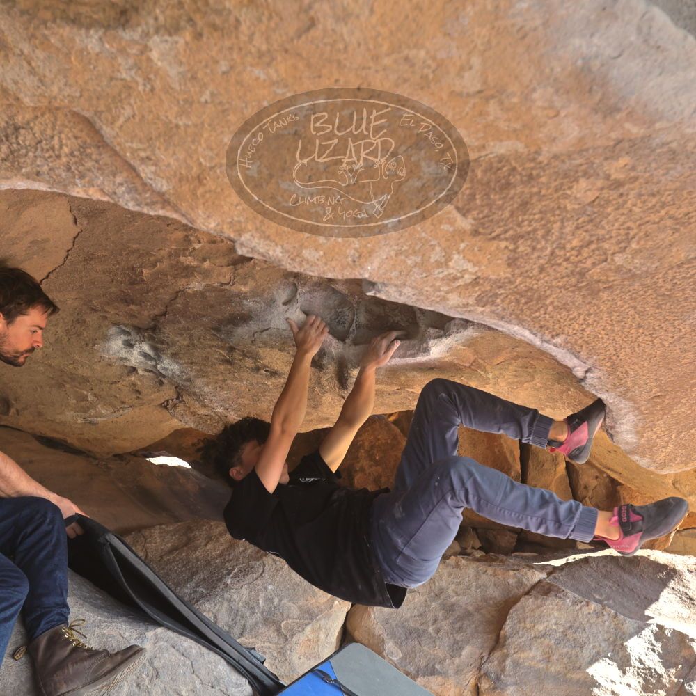 

Filename: SRM_20260308_0852370.jpg
Aperture: f/5.6
Shutter Speed: 1/500
Body: Canon EOS R6
Lens: Canon EF 16-35mm f/2.8 L