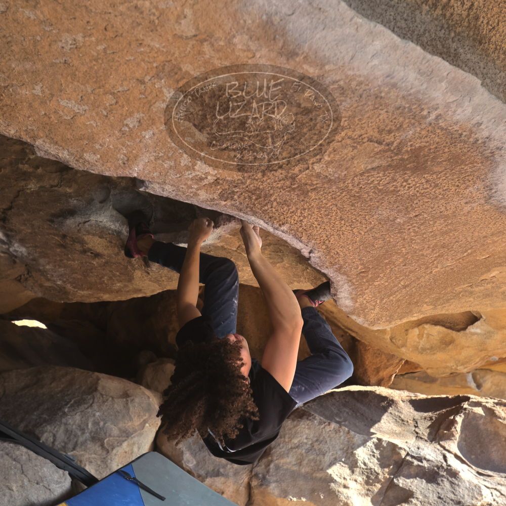 

Filename: SRM_20260308_0852450.jpg
Aperture: f/5.6
Shutter Speed: 1/500
Body: Canon EOS R6
Lens: Canon EF 16-35mm f/2.8 L