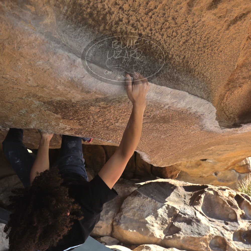 

Filename: SRM_20260308_0852500.jpg
Aperture: f/5.6
Shutter Speed: 1/500
Body: Canon EOS R6
Lens: Canon EF 16-35mm f/2.8 L