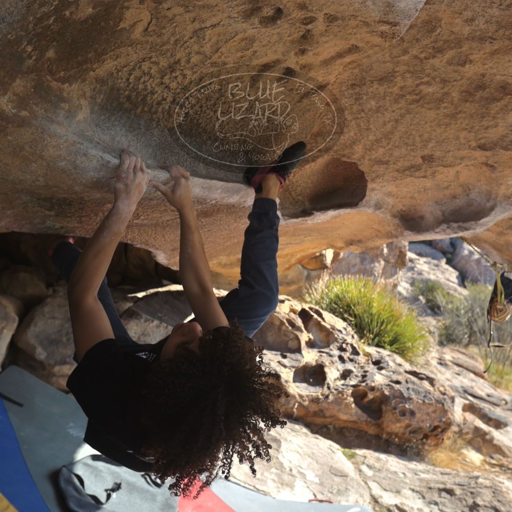 

Filename: SRM_20260308_0853000.jpg
Aperture: f/5.6
Shutter Speed: 1/500
Body: Canon EOS R6
Lens: Canon EF 16-35mm f/2.8 L