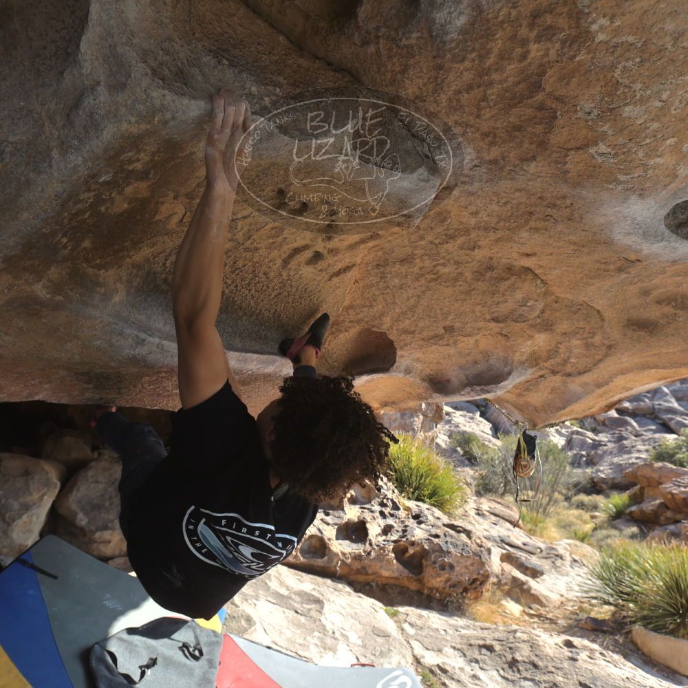 

Filename: SRM_20260308_0853021.jpg
Aperture: f/5.6
Shutter Speed: 1/500
Body: Canon EOS R6
Lens: Canon EF 16-35mm f/2.8 L