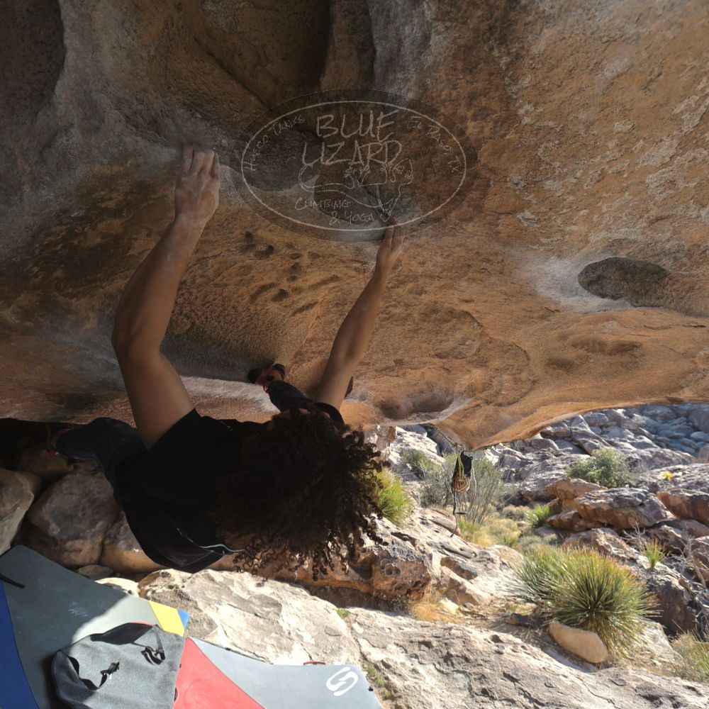 

Filename: SRM_20260308_0853040.jpg
Aperture: f/5.6
Shutter Speed: 1/500
Body: Canon EOS R6
Lens: Canon EF 16-35mm f/2.8 L