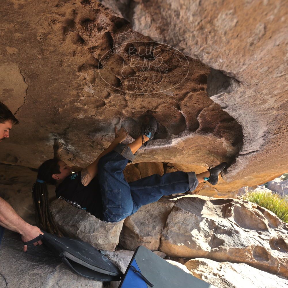 

Filename: SRM_20260308_0855170.jpg
Aperture: f/5.6
Shutter Speed: 1/500
Body: Canon EOS R6
Lens: Canon EF 16-35mm f/2.8 L