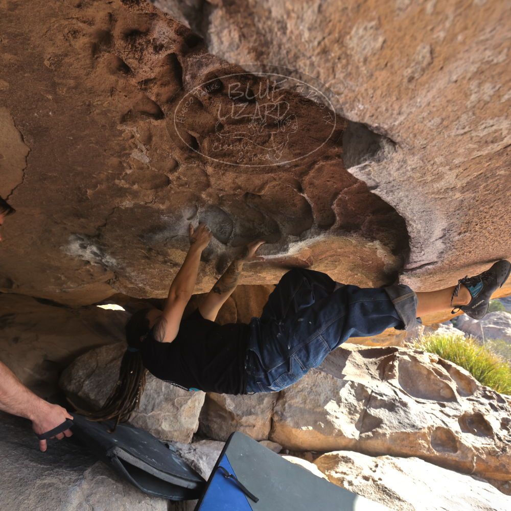 

Filename: SRM_20260308_0855190.jpg
Aperture: f/5.6
Shutter Speed: 1/500
Body: Canon EOS R6
Lens: Canon EF 16-35mm f/2.8 L