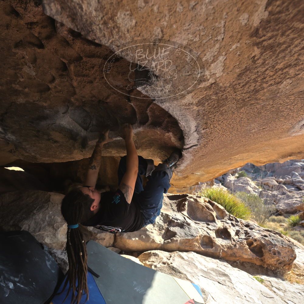 

Filename: SRM_20260308_0855240.jpg
Aperture: f/5.6
Shutter Speed: 1/500
Body: Canon EOS R6
Lens: Canon EF 16-35mm f/2.8 L