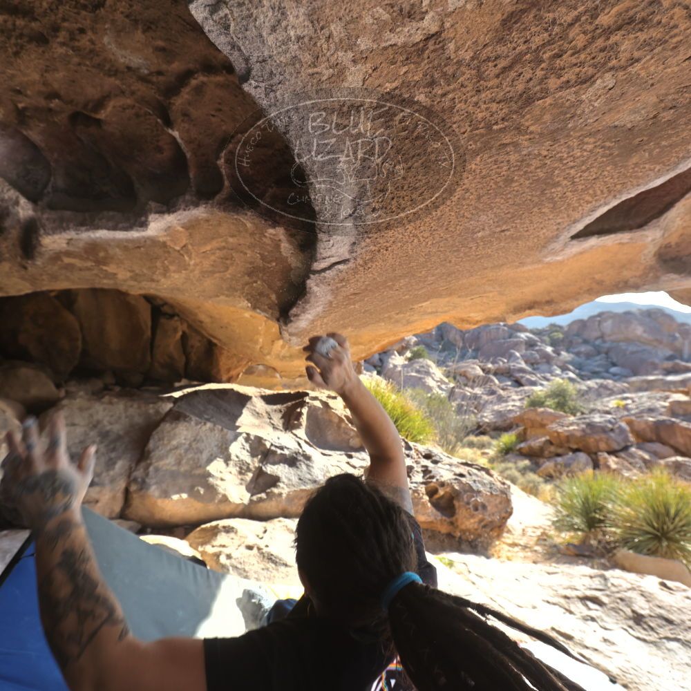 

Filename: SRM_20260308_0855300.jpg
Aperture: f/5.6
Shutter Speed: 1/500
Body: Canon EOS R6
Lens: Canon EF 16-35mm f/2.8 L