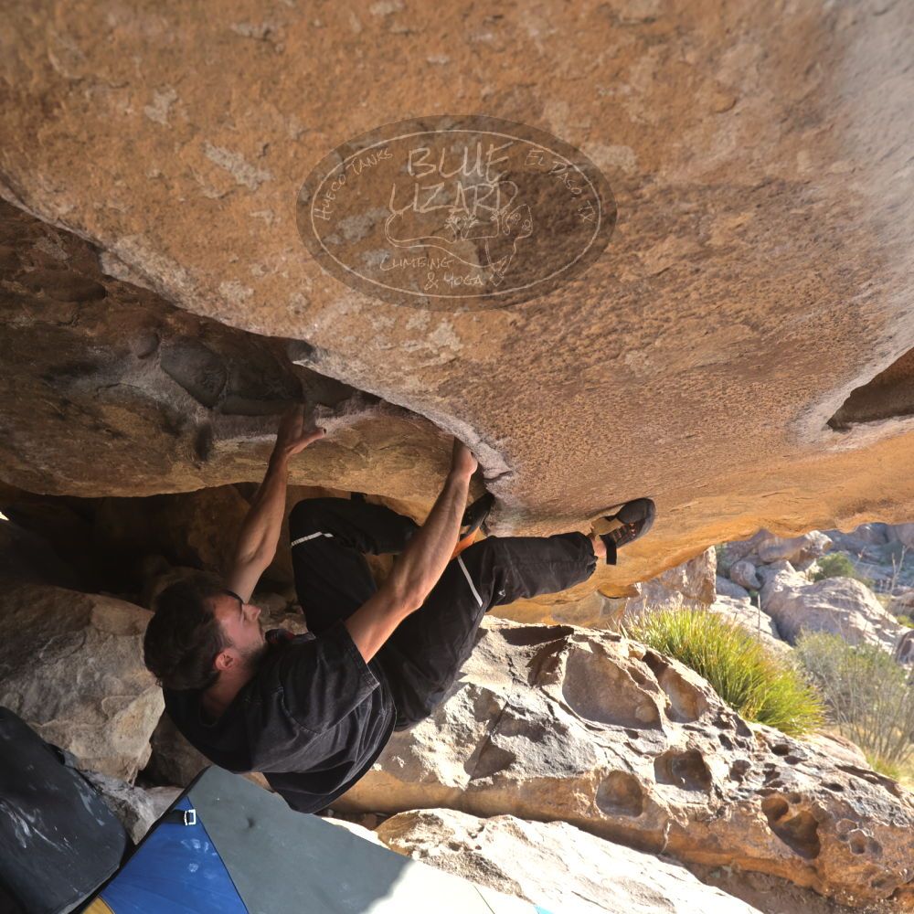 

Filename: SRM_20260308_0856220.jpg
Aperture: f/5.6
Shutter Speed: 1/500
Body: Canon EOS R6
Lens: Canon EF 16-35mm f/2.8 L