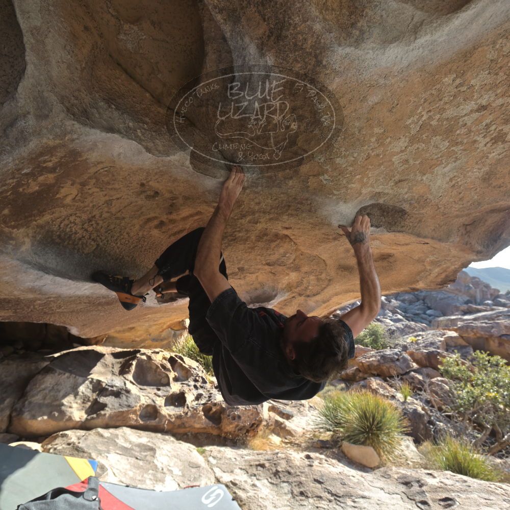 

Filename: SRM_20260308_0856440.jpg
Aperture: f/5.6
Shutter Speed: 1/500
Body: Canon EOS R6
Lens: Canon EF 16-35mm f/2.8 L