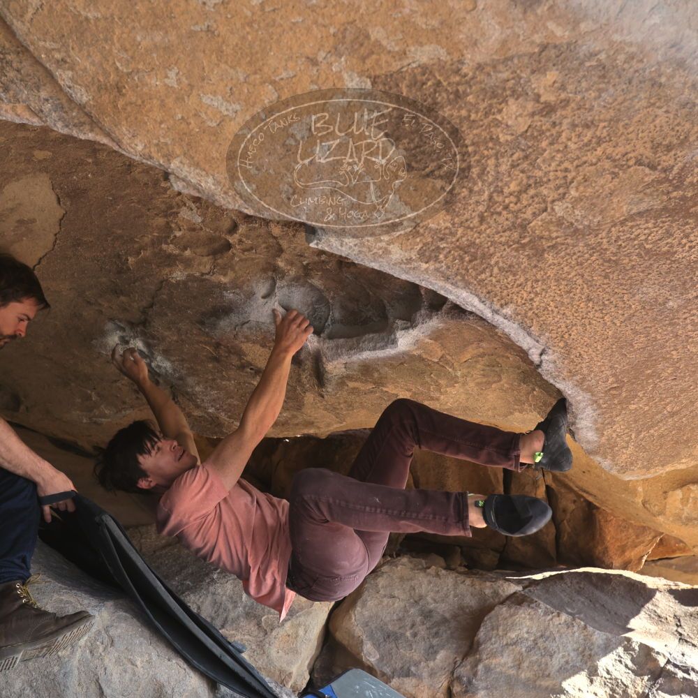 

Filename: SRM_20260308_0901470.jpg
Aperture: f/5.6
Shutter Speed: 1/500
Body: Canon EOS R6
Lens: Canon EF 16-35mm f/2.8 L