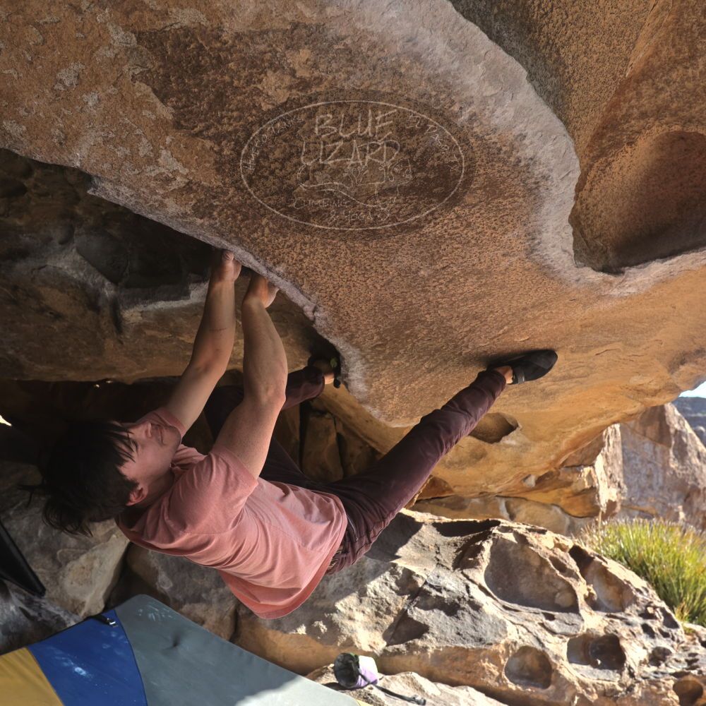 

Filename: SRM_20260308_0901530.jpg
Aperture: f/5.6
Shutter Speed: 1/500
Body: Canon EOS R6
Lens: Canon EF 16-35mm f/2.8 L