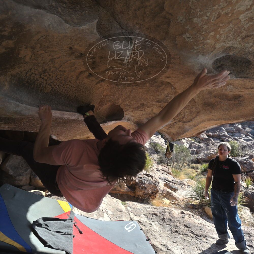 

Filename: SRM_20260308_0902080.jpg
Aperture: f/5.6
Shutter Speed: 1/500
Body: Canon EOS R6
Lens: Canon EF 16-35mm f/2.8 L