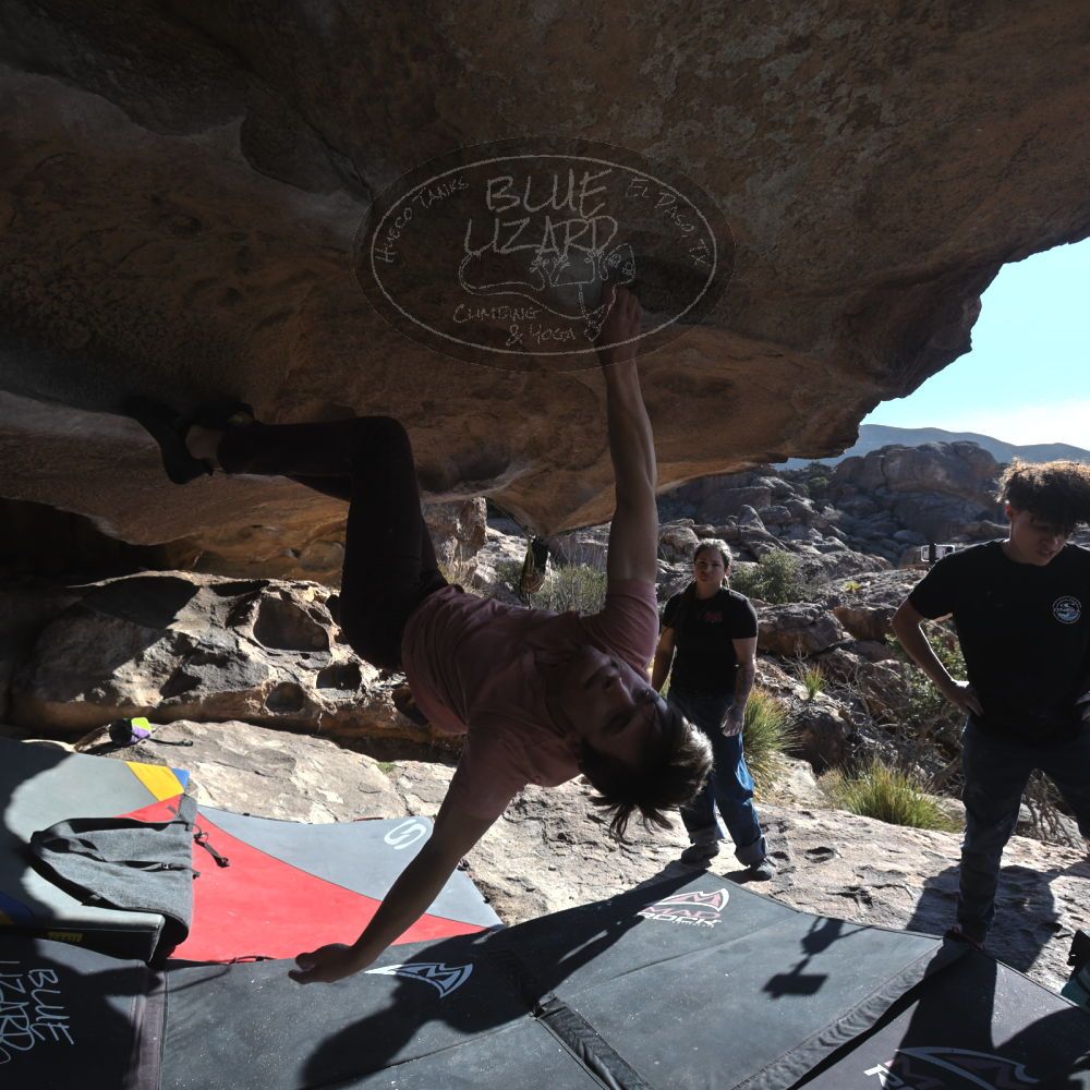 

Filename: SRM_20260308_0902130.jpg
Aperture: f/5.6
Shutter Speed: 1/500
Body: Canon EOS R6
Lens: Canon EF 16-35mm f/2.8 L