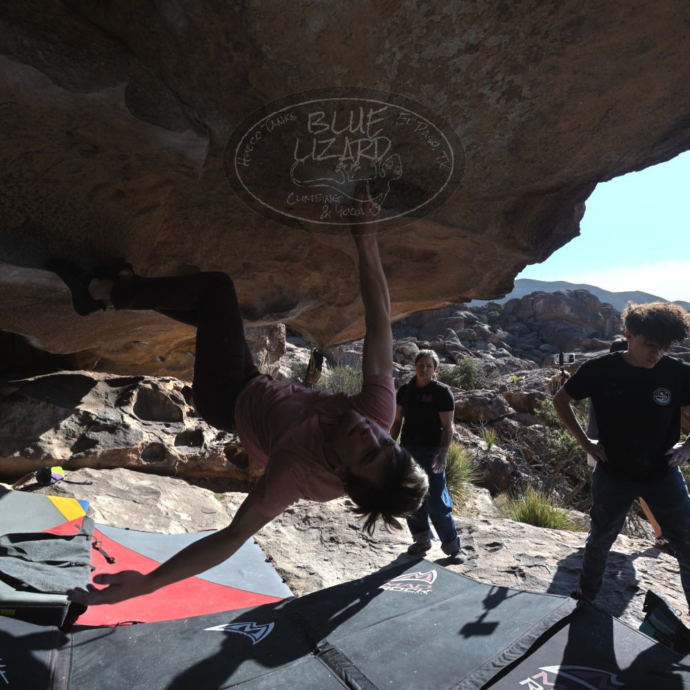 

Filename: SRM_20260308_0902131.jpg
Aperture: f/5.6
Shutter Speed: 1/500
Body: Canon EOS R6
Lens: Canon EF 16-35mm f/2.8 L