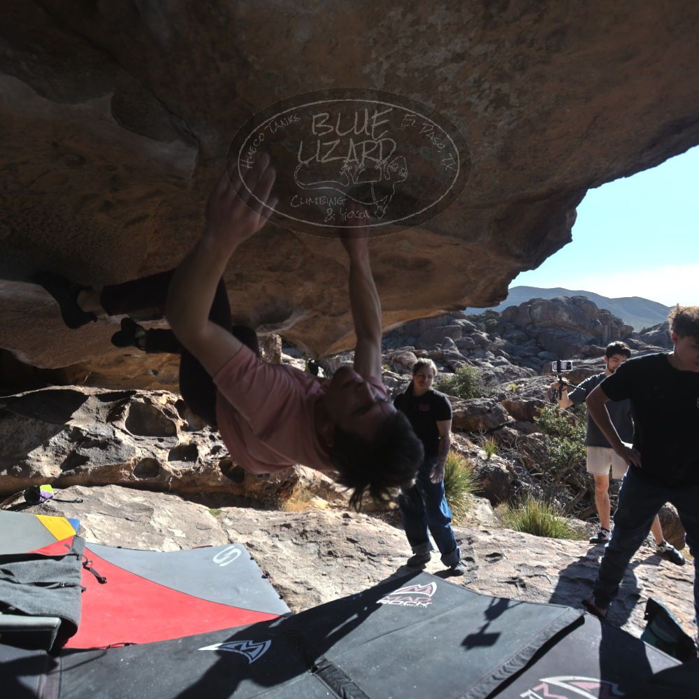 

Filename: SRM_20260308_0902132.jpg
Aperture: f/5.6
Shutter Speed: 1/500
Body: Canon EOS R6
Lens: Canon EF 16-35mm f/2.8 L