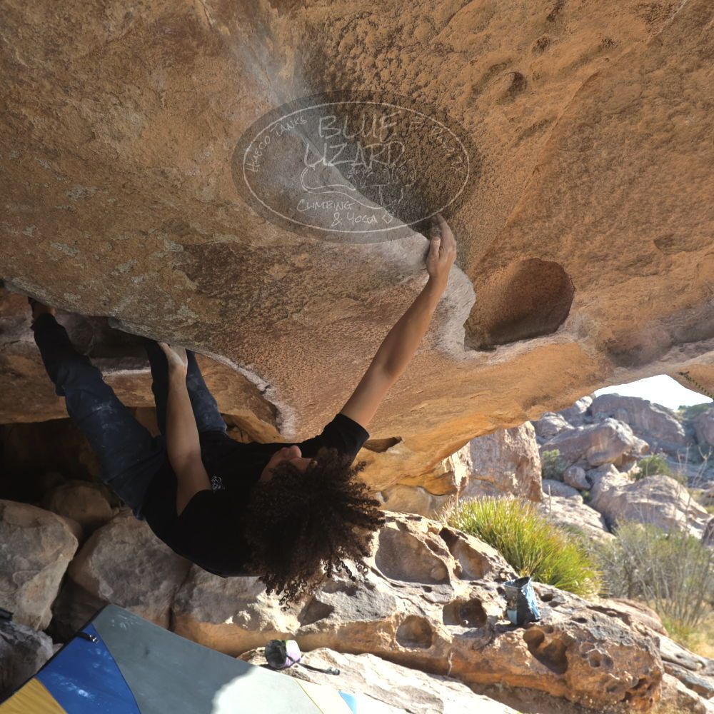 

Filename: SRM_20260308_0904450.jpg
Aperture: f/5.6
Shutter Speed: 1/500
Body: Canon EOS R6
Lens: Canon EF 16-35mm f/2.8 L