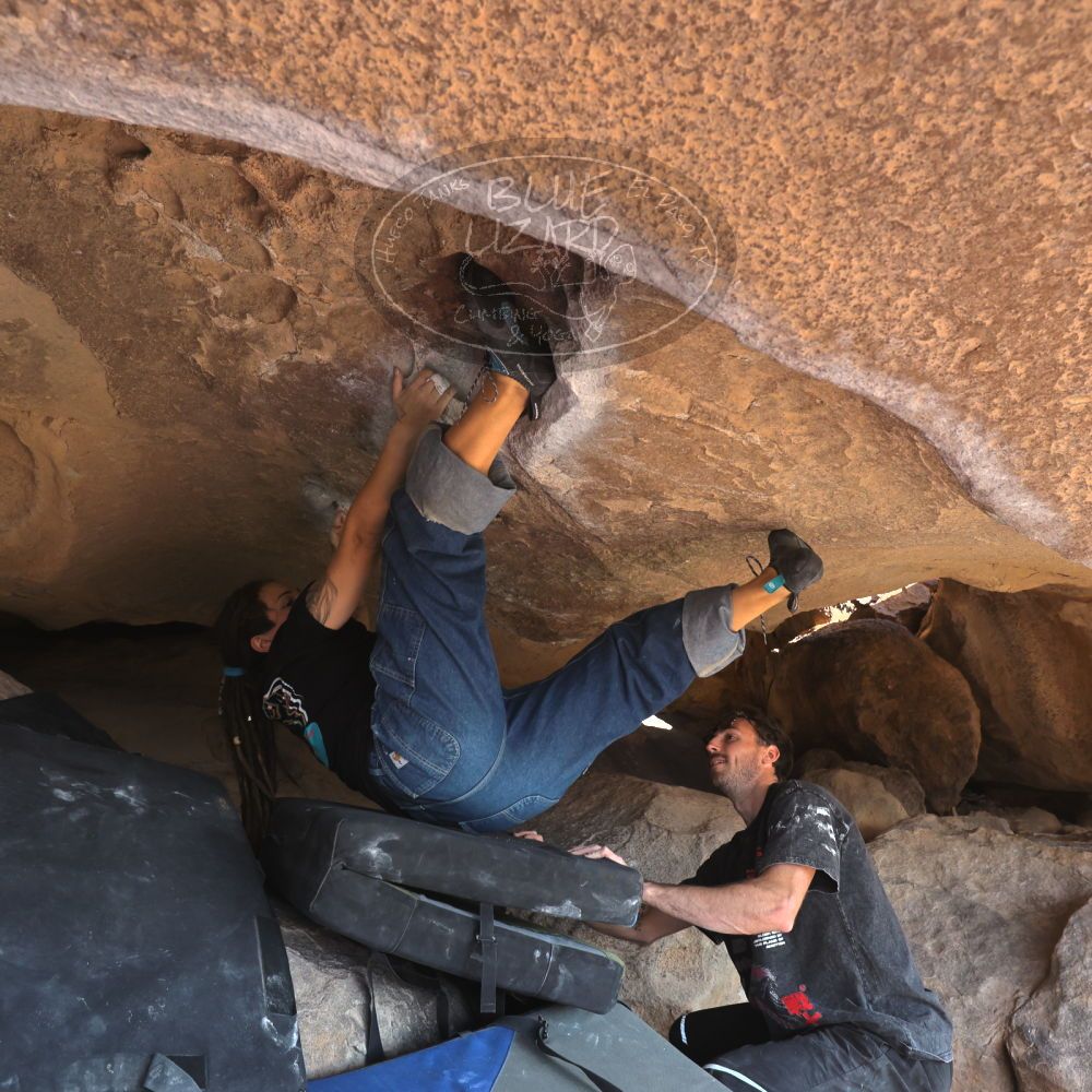 

Filename: SRM_20260308_0913320.jpg
Aperture: f/5.6
Shutter Speed: 1/500
Body: Canon EOS R6
Lens: Canon EF 16-35mm f/2.8 L