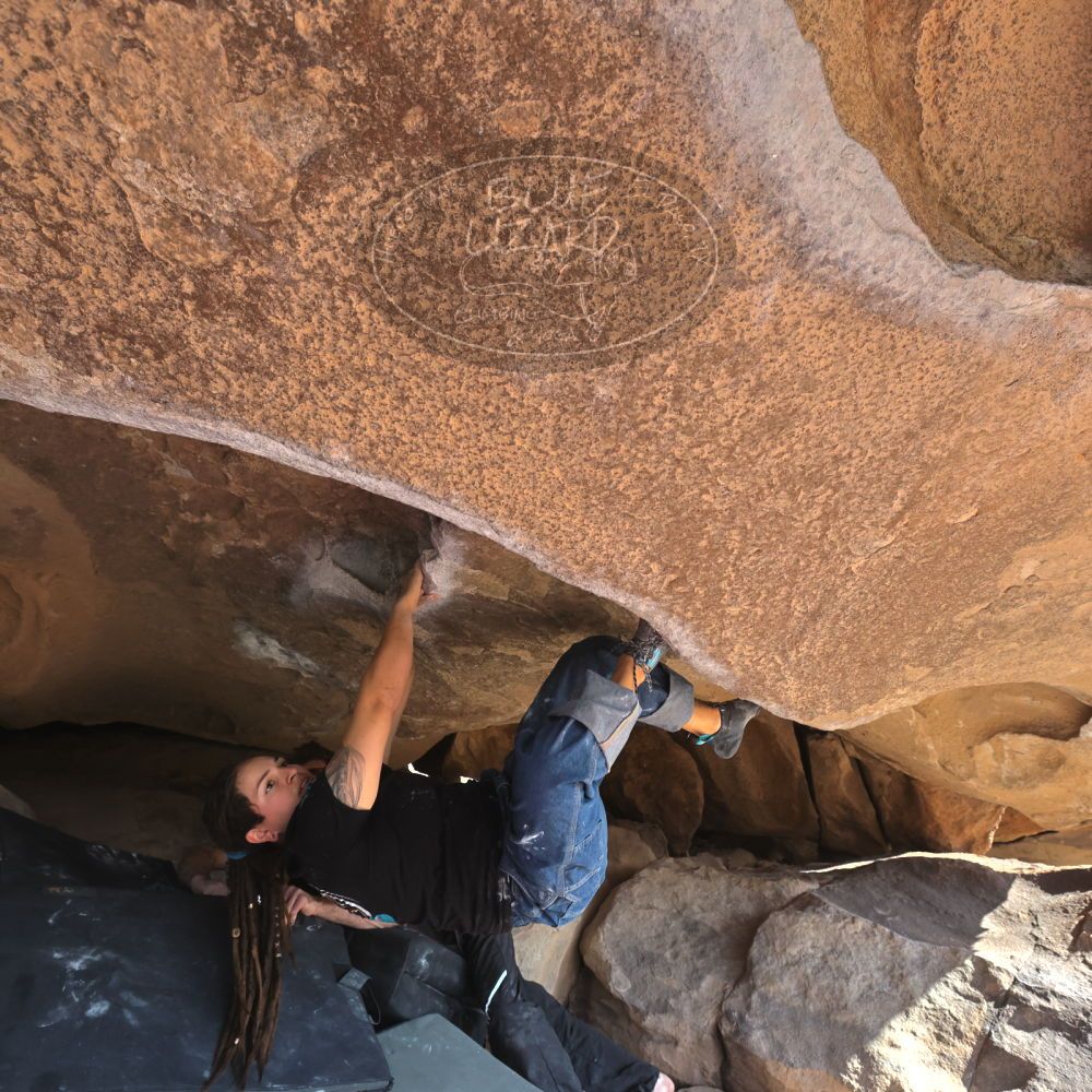 

Filename: SRM_20260308_0913390.jpg
Aperture: f/5.6
Shutter Speed: 1/500
Body: Canon EOS R6
Lens: Canon EF 16-35mm f/2.8 L