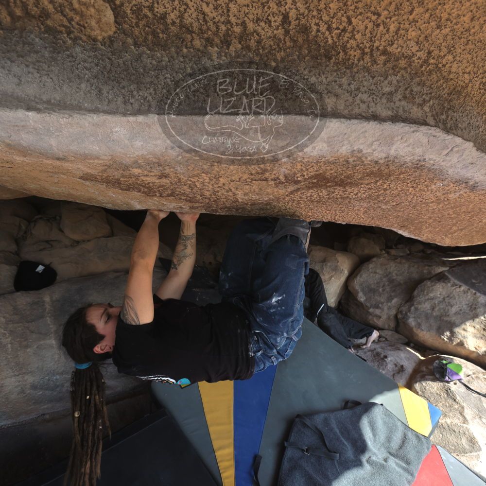 

Filename: SRM_20260308_0913580.jpg
Aperture: f/5.6
Shutter Speed: 1/500
Body: Canon EOS R6
Lens: Canon EF 16-35mm f/2.8 L