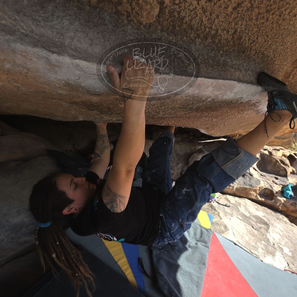 

Filename: SRM_20260308_0914010.jpg
Aperture: f/5.6
Shutter Speed: 1/500
Body: Canon EOS R6
Lens: Canon EF 16-35mm f/2.8 L