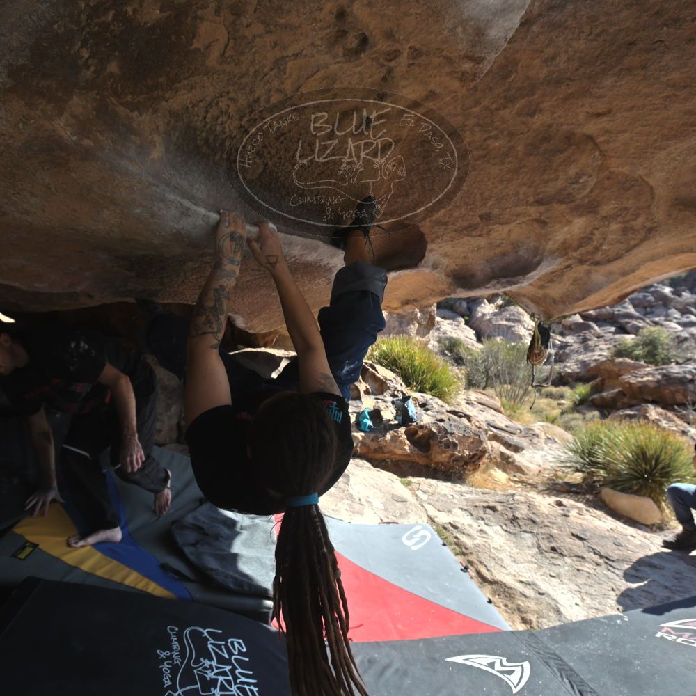 

Filename: SRM_20260308_0914080.jpg
Aperture: f/5.6
Shutter Speed: 1/500
Body: Canon EOS R6
Lens: Canon EF 16-35mm f/2.8 L