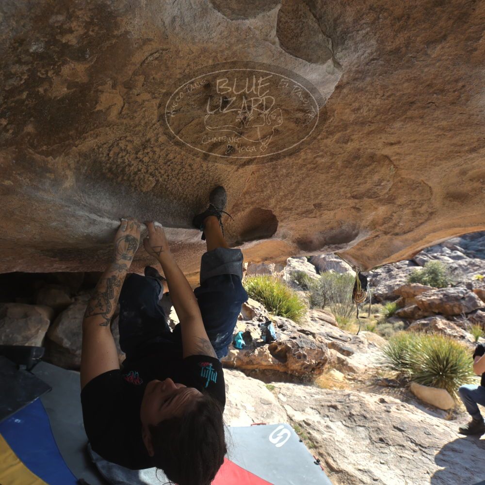 

Filename: SRM_20260308_0914160.jpg
Aperture: f/5.6
Shutter Speed: 1/500
Body: Canon EOS R6
Lens: Canon EF 16-35mm f/2.8 L