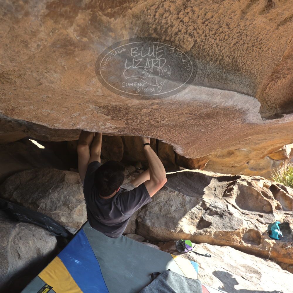 

Filename: SRM_20260308_0917310.jpg
Aperture: f/5.6
Shutter Speed: 1/500
Body: Canon EOS R6
Lens: Canon EF 16-35mm f/2.8 L