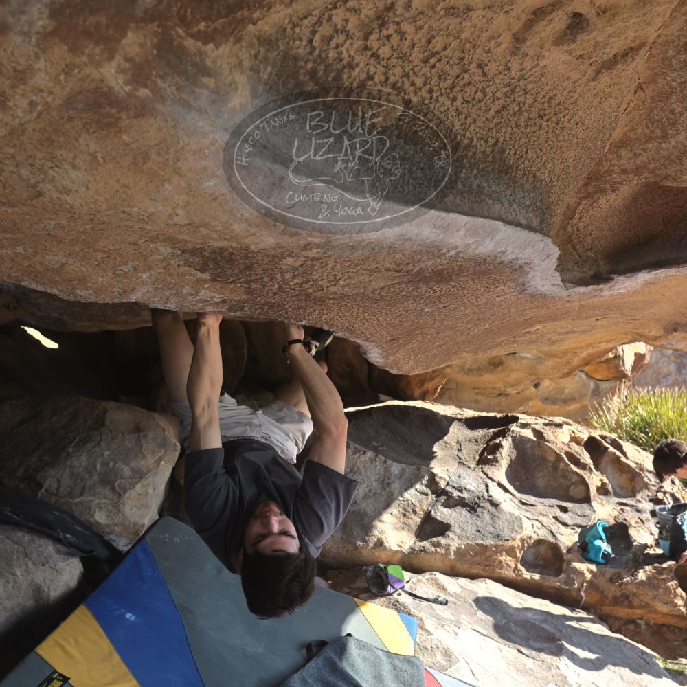 

Filename: SRM_20260308_0917320.jpg
Aperture: f/5.6
Shutter Speed: 1/500
Body: Canon EOS R6
Lens: Canon EF 16-35mm f/2.8 L