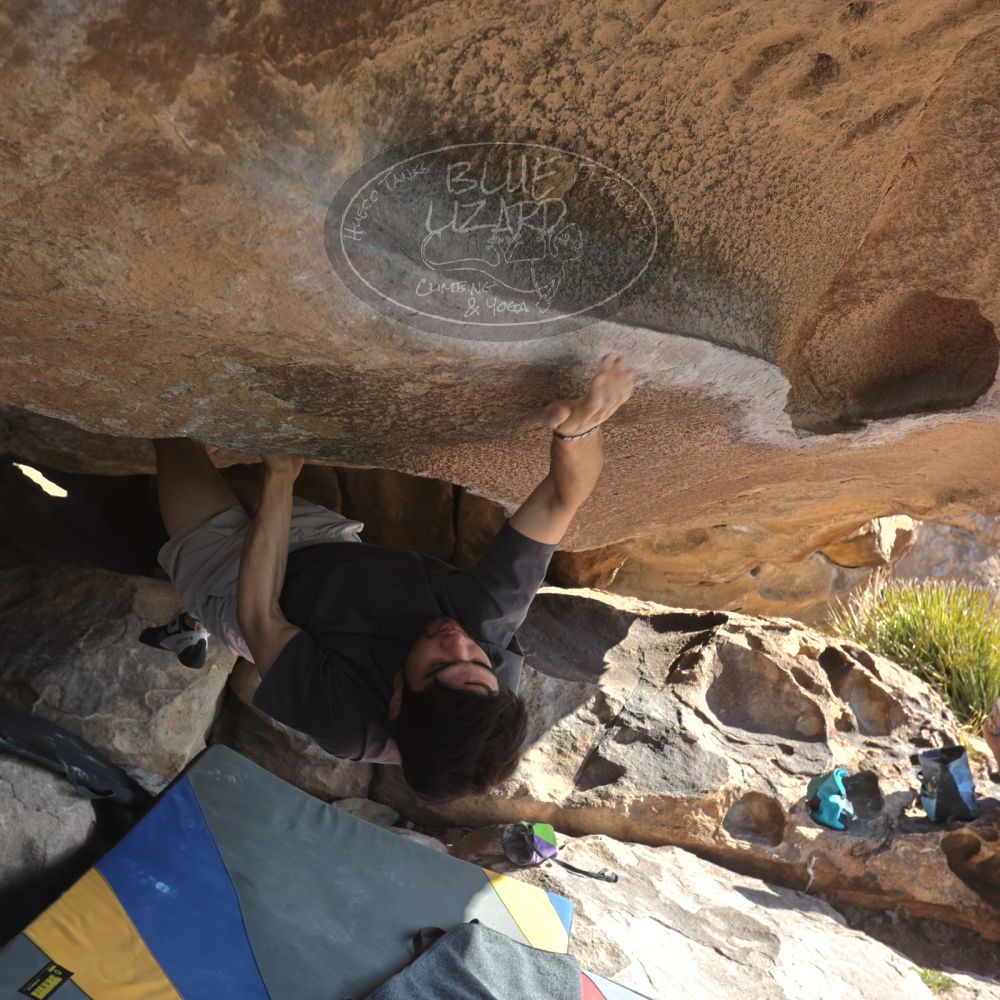 

Filename: SRM_20260308_0917340.jpg
Aperture: f/5.6
Shutter Speed: 1/500
Body: Canon EOS R6
Lens: Canon EF 16-35mm f/2.8 L