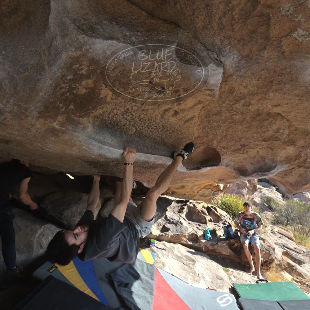 

Filename: SRM_20260308_0917370.jpg
Aperture: f/5.6
Shutter Speed: 1/500
Body: Canon EOS R6
Lens: Canon EF 16-35mm f/2.8 L