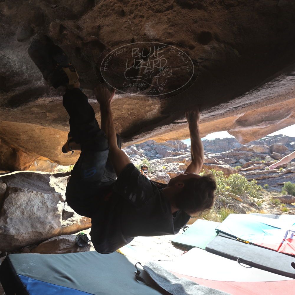 

Filename: SRM_20260308_0926570.jpg
Aperture: f/5.6
Shutter Speed: 1/500
Body: Canon EOS R6
Lens: Canon EF 16-35mm f/2.8 L