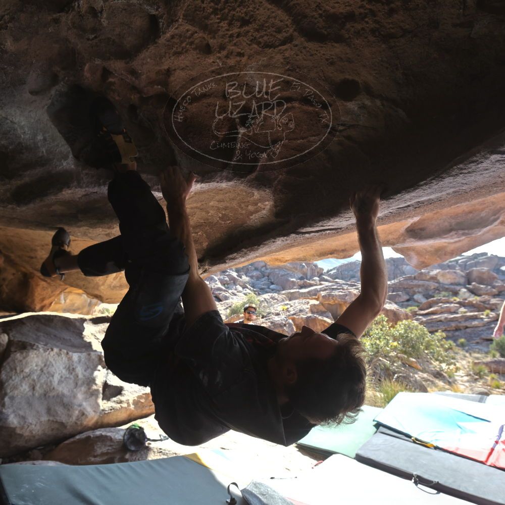 

Filename: SRM_20260308_0926580.jpg
Aperture: f/5.6
Shutter Speed: 1/500
Body: Canon EOS R6
Lens: Canon EF 16-35mm f/2.8 L