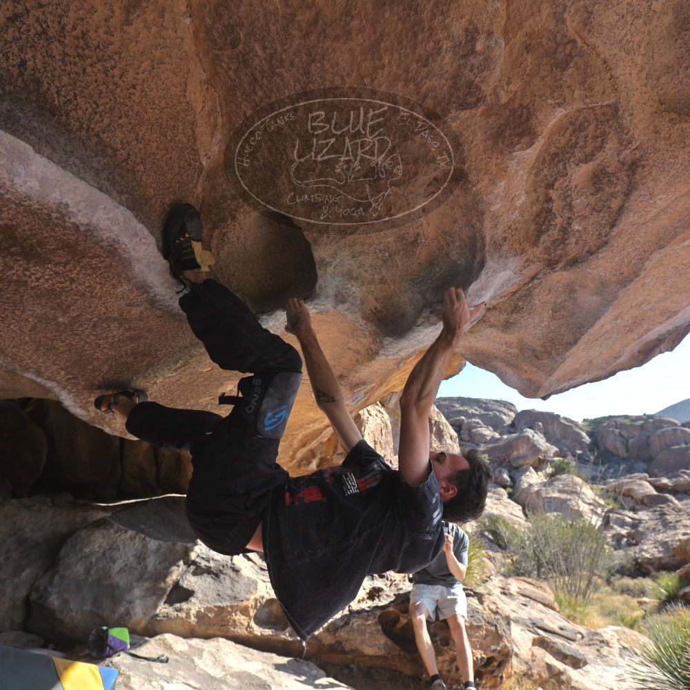 

Filename: SRM_20260308_0927200.jpg
Aperture: f/5.6
Shutter Speed: 1/500
Body: Canon EOS R6
Lens: Canon EF 16-35mm f/2.8 L