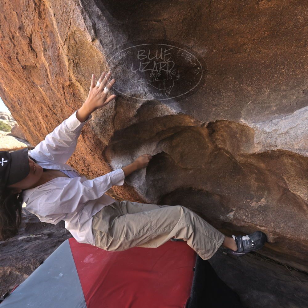 

Filename: SRM_20260328_1033451.jpg
Aperture: f/8.0
Shutter Speed: 1/1000
Body: Canon EOS R6
Lens: Canon EF 16-35mm f/2.8 L