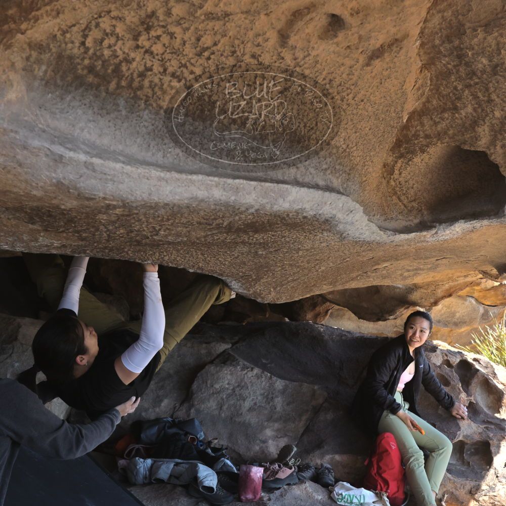 

Filename: SRM_20260328_1133420.jpg
Aperture: f/8.0
Shutter Speed: 1/1000
Body: Canon EOS R6
Lens: Canon EF 16-35mm f/2.8 L