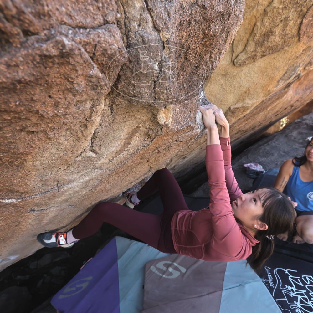 

Filename: SRM_20260328_1409300.jpg
Aperture: f/5.6
Shutter Speed: 1/640
Body: Canon EOS R6
Lens: Canon EF 16-35mm f/2.8 L