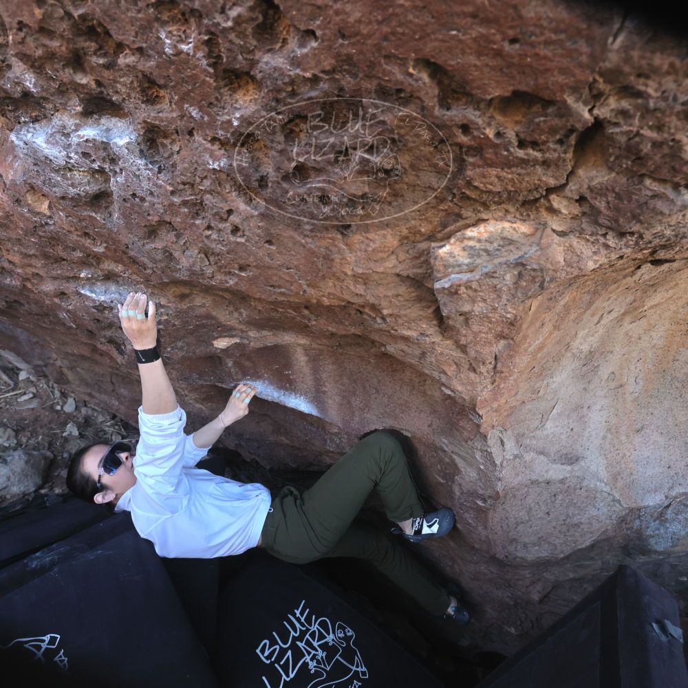 

Filename: SRM_20260329_0847120.jpg
Aperture: f/5.6
Shutter Speed: 1/640
Body: Canon EOS R6
Lens: Canon EF 16-35mm f/2.8 L