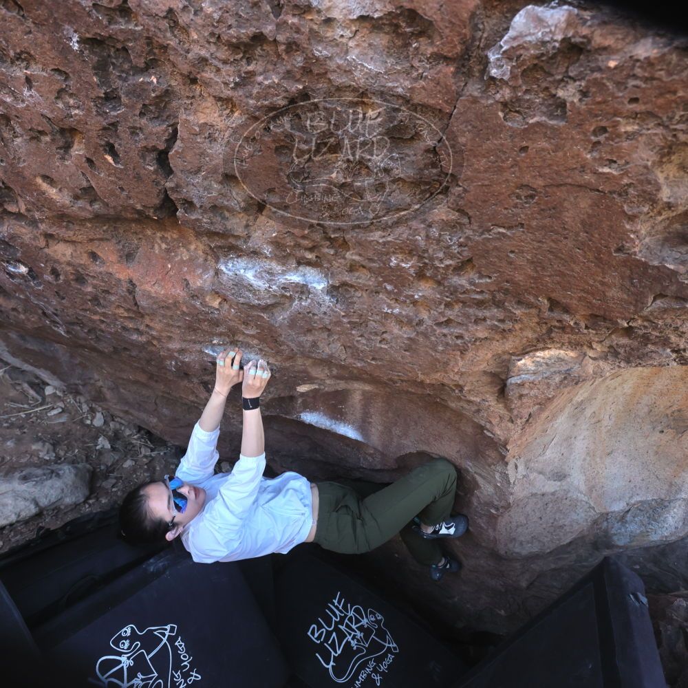 

Filename: SRM_20260329_0847160.jpg
Aperture: f/5.6
Shutter Speed: 1/640
Body: Canon EOS R6
Lens: Canon EF 16-35mm f/2.8 L