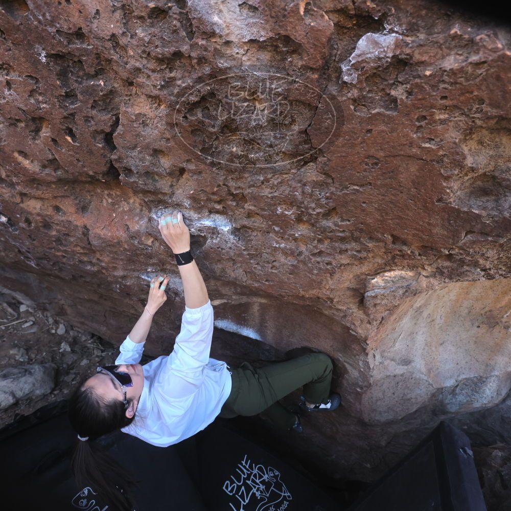 

Filename: SRM_20260329_0847190.jpg
Aperture: f/5.6
Shutter Speed: 1/640
Body: Canon EOS R6
Lens: Canon EF 16-35mm f/2.8 L