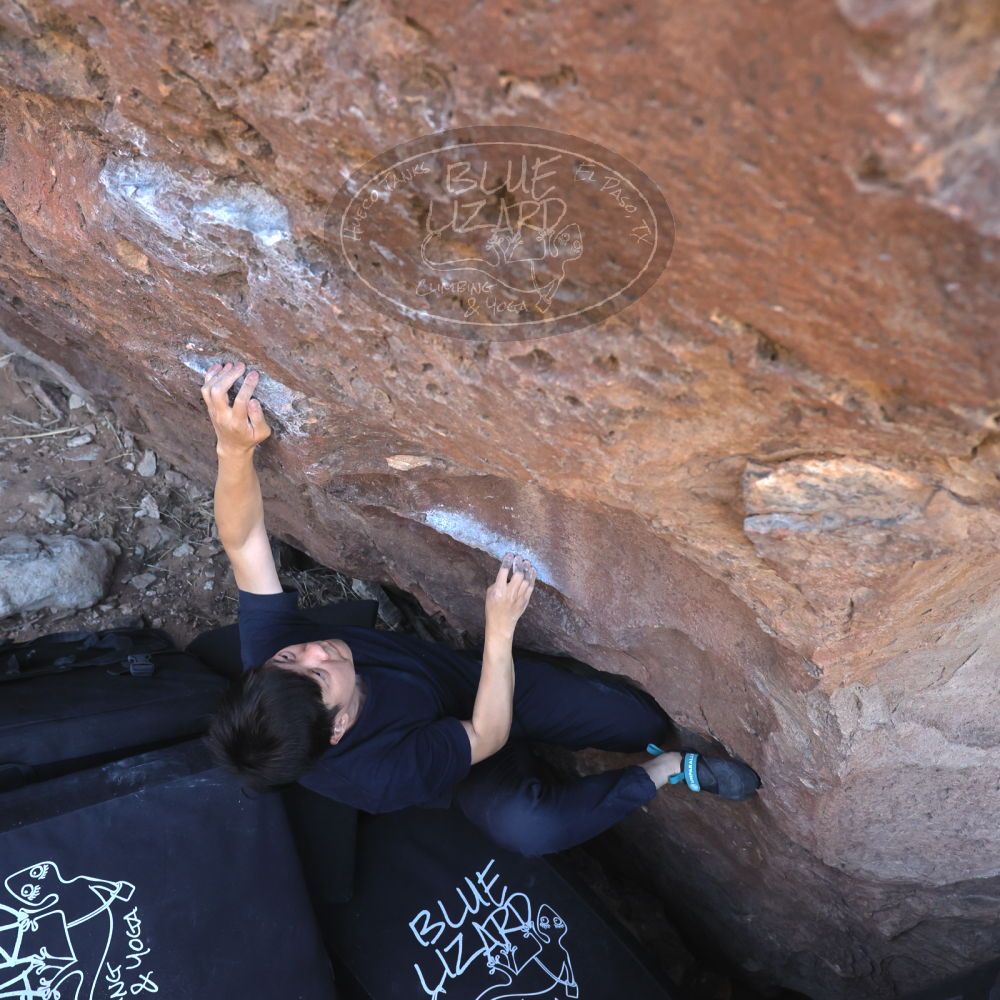 

Filename: SRM_20260329_0852290.jpg
Aperture: f/5.6
Shutter Speed: 1/640
Body: Canon EOS R6
Lens: Canon EF 16-35mm f/2.8 L