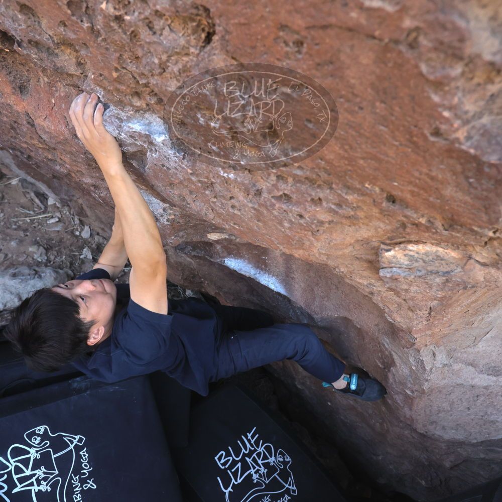 

Filename: SRM_20260329_0852320.jpg
Aperture: f/5.6
Shutter Speed: 1/640
Body: Canon EOS R6
Lens: Canon EF 16-35mm f/2.8 L