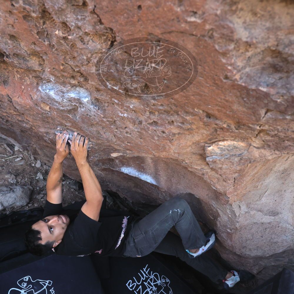 

Filename: SRM_20260329_0855500.jpg
Aperture: f/5.6
Shutter Speed: 1/640
Body: Canon EOS R6
Lens: Canon EF 16-35mm f/2.8 L