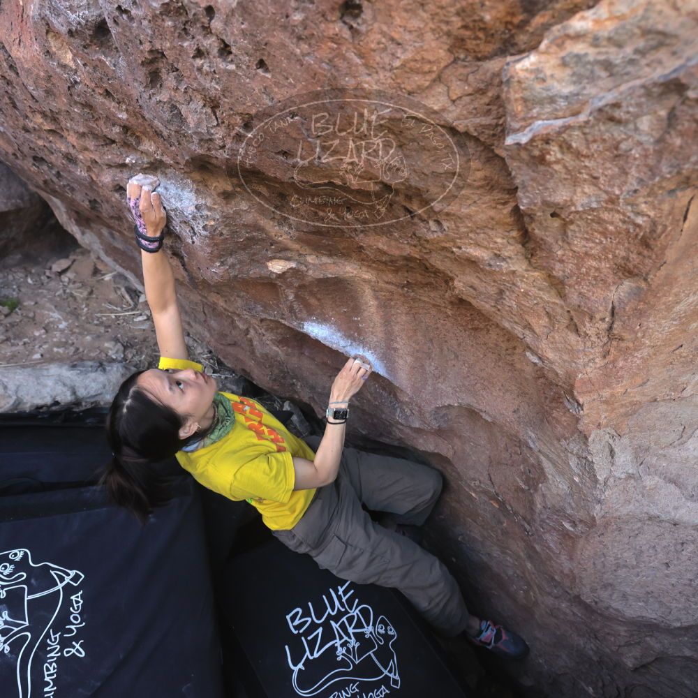 

Filename: SRM_20260329_0859490.jpg
Aperture: f/5.6
Shutter Speed: 1/640
Body: Canon EOS R6
Lens: Canon EF 16-35mm f/2.8 L