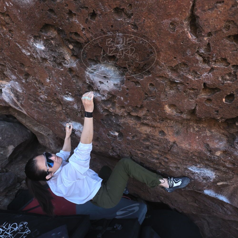 

Filename: SRM_20260329_0909130.jpg
Aperture: f/5.6
Shutter Speed: 1/640
Body: Canon EOS R6
Lens: Canon EF 16-35mm f/2.8 L