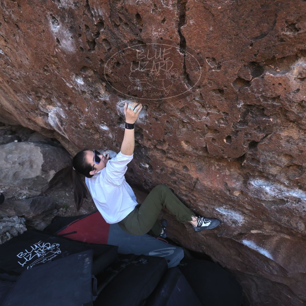 

Filename: SRM_20260329_0909160.jpg
Aperture: f/5.6
Shutter Speed: 1/640
Body: Canon EOS R6
Lens: Canon EF 16-35mm f/2.8 L