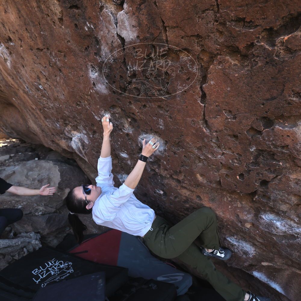 

Filename: SRM_20260329_0909230.jpg
Aperture: f/5.6
Shutter Speed: 1/640
Body: Canon EOS R6
Lens: Canon EF 16-35mm f/2.8 L