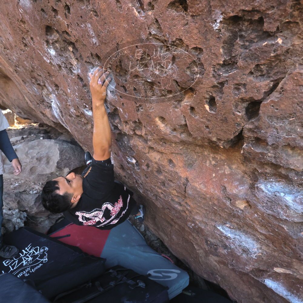 

Filename: SRM_20260329_0916320.jpg
Aperture: f/10.0
Shutter Speed: 1/640
Body: Canon EOS R6
Lens: Canon EF 16-35mm f/2.8 L