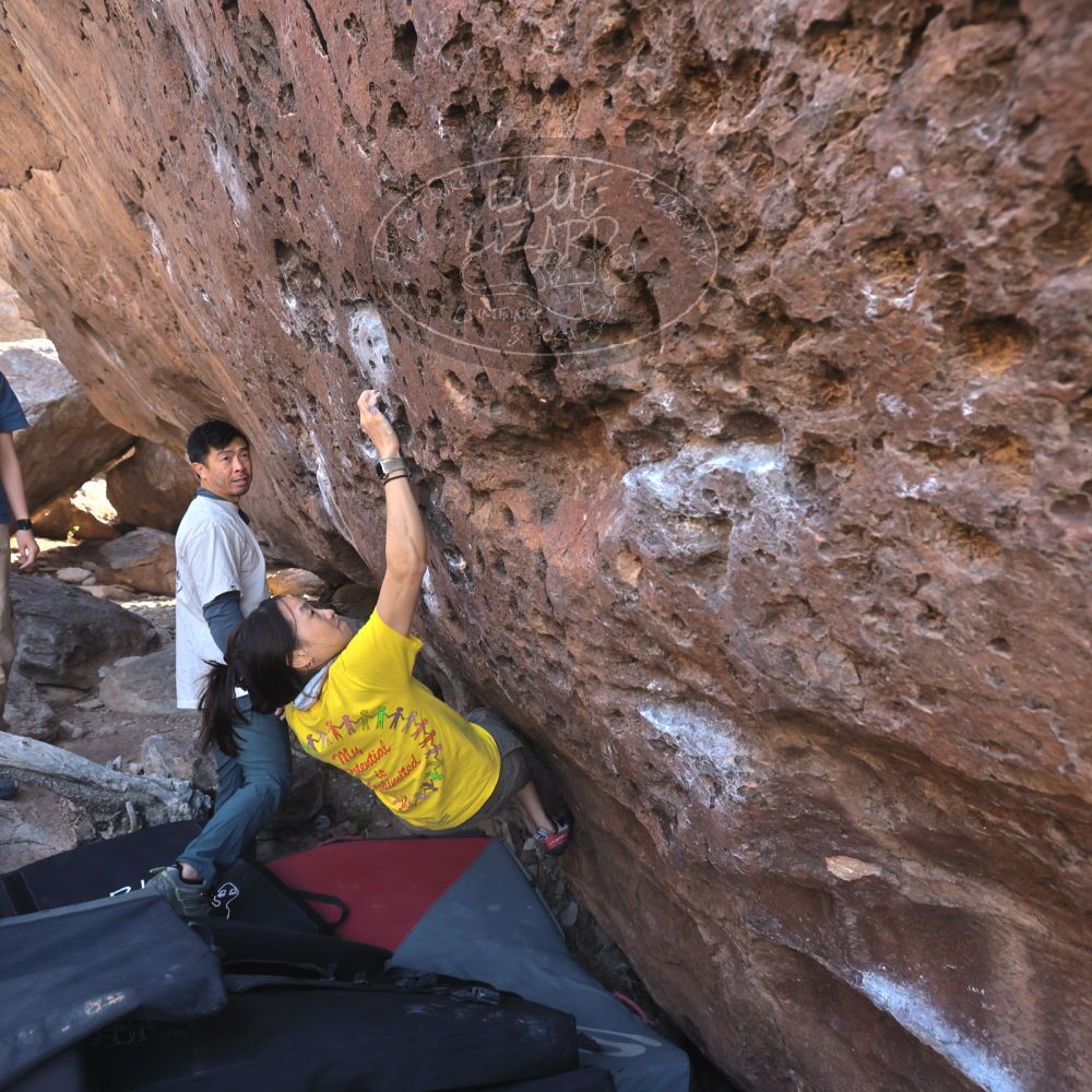 

Filename: SRM_20260329_0924090.jpg
Aperture: f/5.6
Shutter Speed: 1/640
Body: Canon EOS R6
Lens: Canon EF 16-35mm f/2.8 L