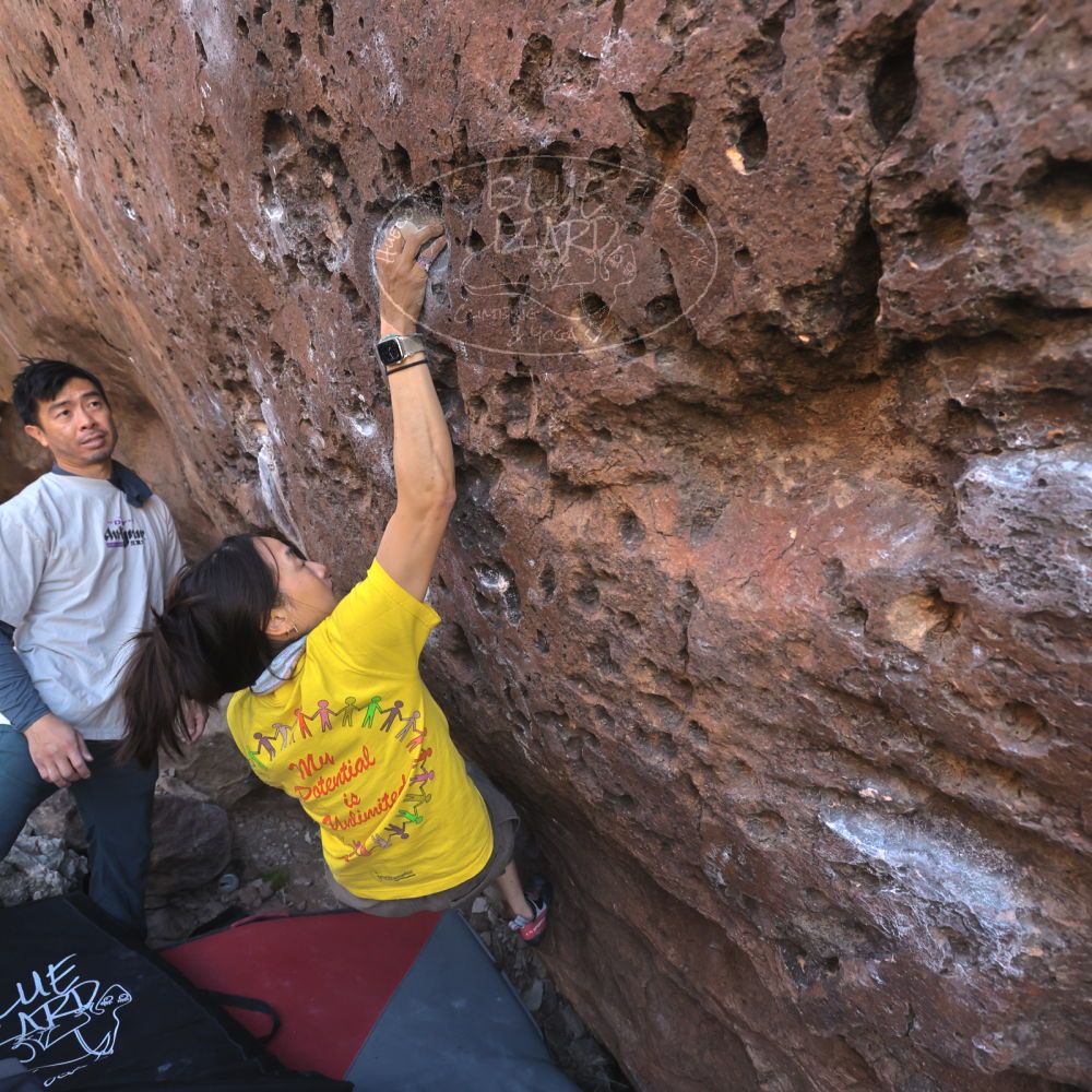 

Filename: SRM_20260329_0924100.jpg
Aperture: f/5.6
Shutter Speed: 1/640
Body: Canon EOS R6
Lens: Canon EF 16-35mm f/2.8 L