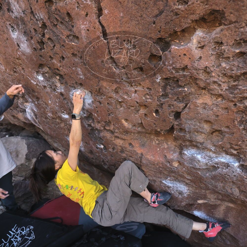 

Filename: SRM_20260329_0925100.jpg
Aperture: f/5.6
Shutter Speed: 1/640
Body: Canon EOS R6
Lens: Canon EF 16-35mm f/2.8 L